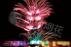 2011年贵阳元宵节